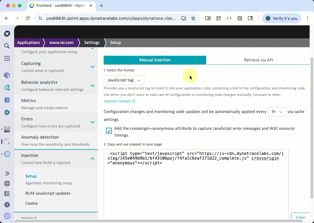 install unpacked extension