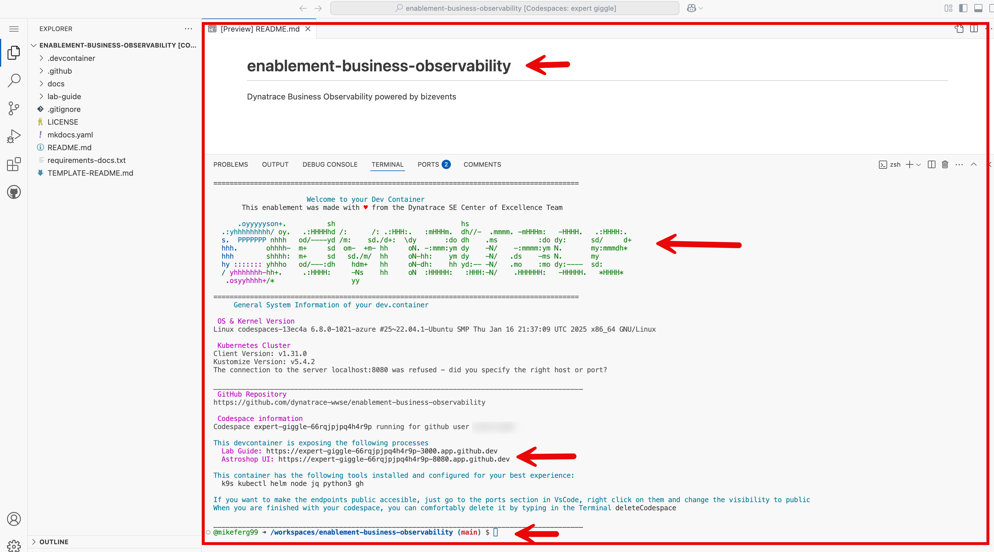 github codespace ready