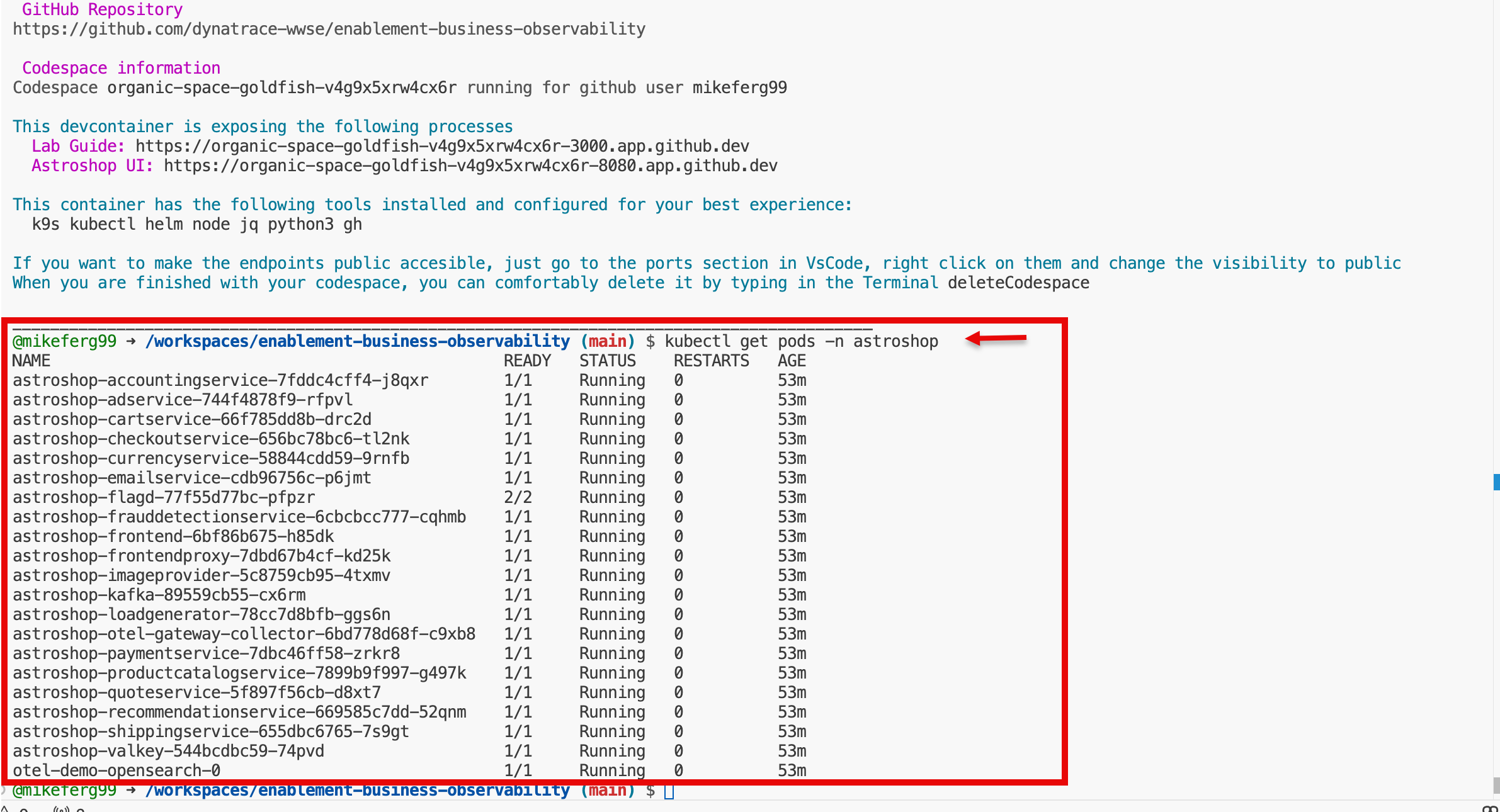 Lab Guide Troubleshooting Astroshop Running