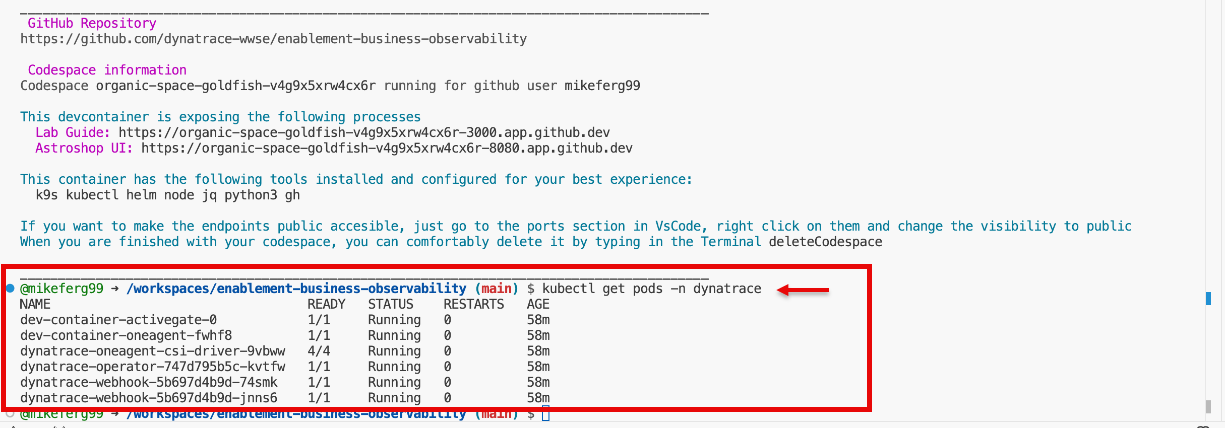 Lab Guide Troubleshooting Dynatrace Running