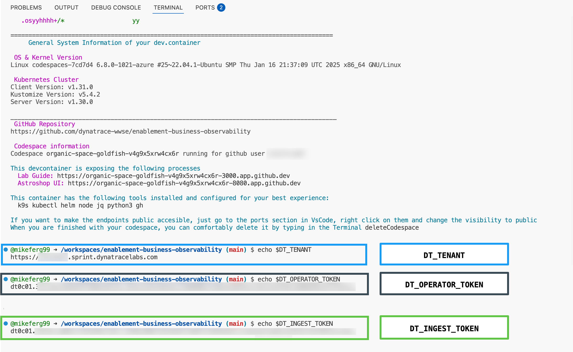 Lab Guide Troubleshooting Variables