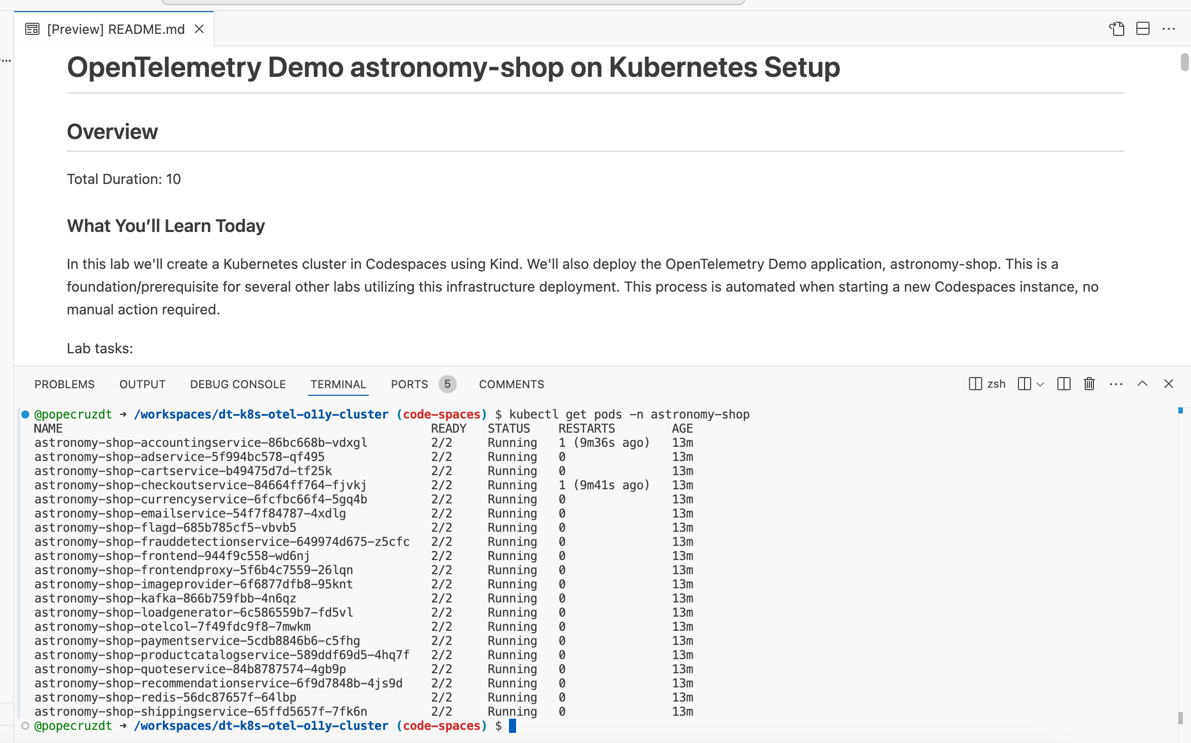 github codespace ready